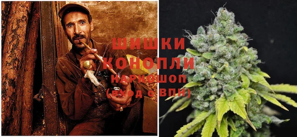 ПСИЛОЦИБИНОВЫЕ ГРИБЫ Пролетарск
