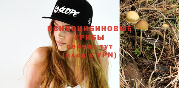 прущая мука Абдулино
