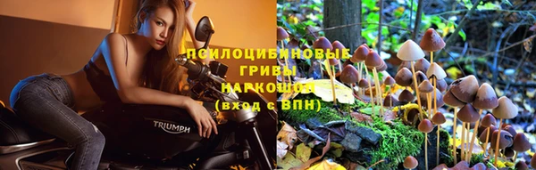 кокс Абаза