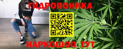 дурь Севастополь