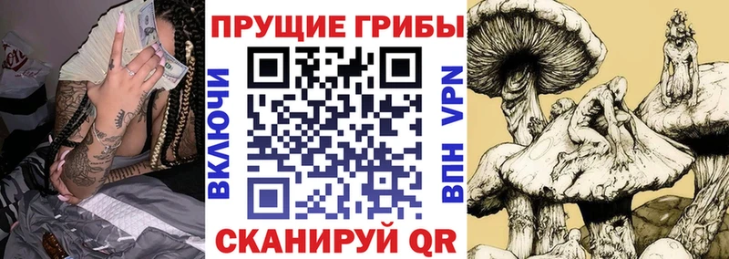 Галлюциногенные грибы мицелий Тутаев