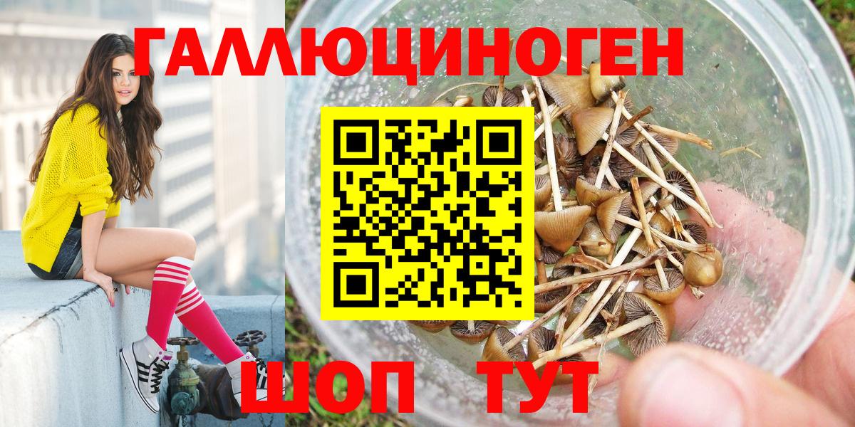 Псилоцибиновые грибы GOLDEN TEACHER Тутаев