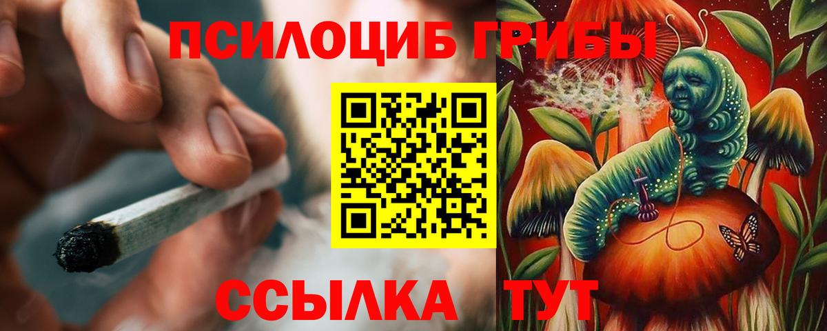 Тутаев  Галлюциногенные грибы Psilocybine cubensis  Вход с VPN 